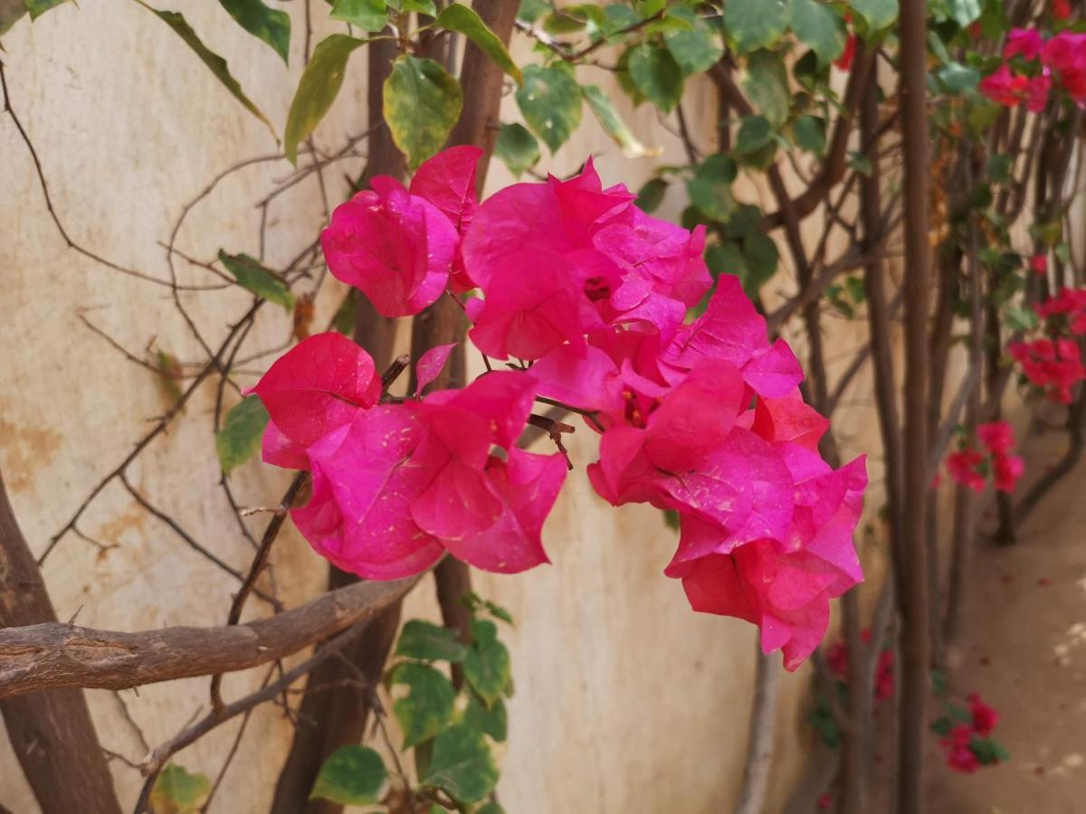 مبور Keur Baboune المظهر الخارجي الصورة