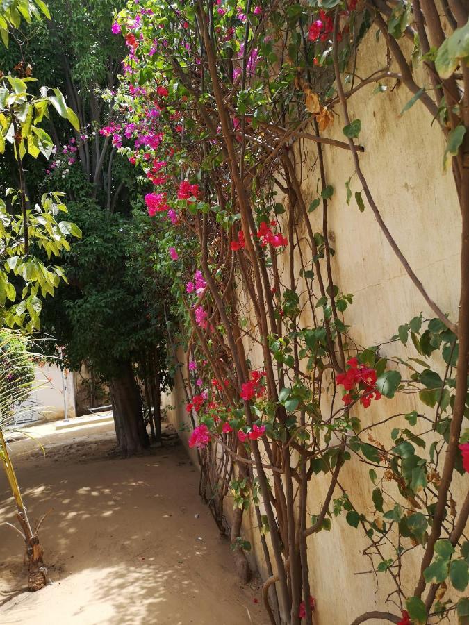 مبور Keur Baboune المظهر الخارجي الصورة